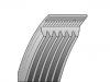 多楔带 V-Ribbed Belt:6 PK 1538